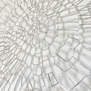 IMG_1304web.jpg Ecorce II