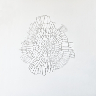 IMG_1322web.jpg Ecorce II