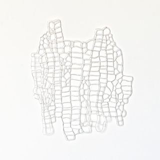 IMG_1972web.jpg Ecorce III