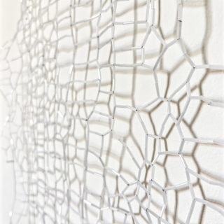 IMG_1981web.jpg Ecorce III